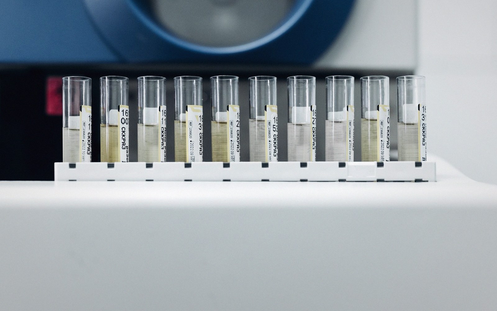 Row of labeled test tubes lined up in a plastic rack beside lab equipment